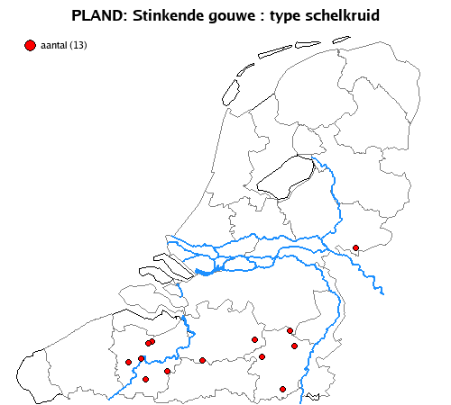 schelkruid